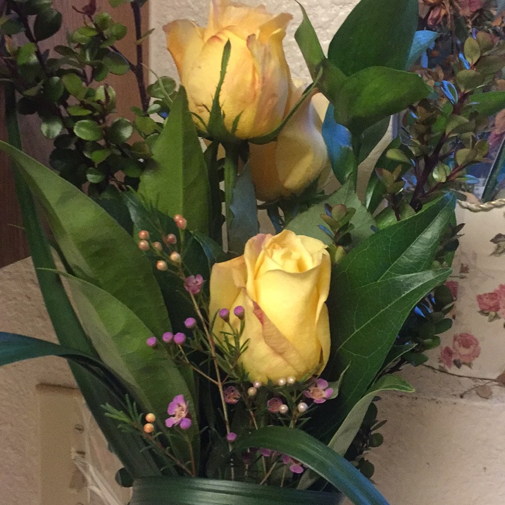 Meet your Posher, Gina